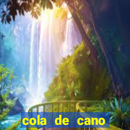 cola de cano quanto tempo para secar